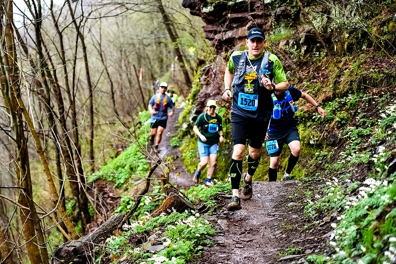 Bild zuSonnefelder Wald-Cross-Lauf