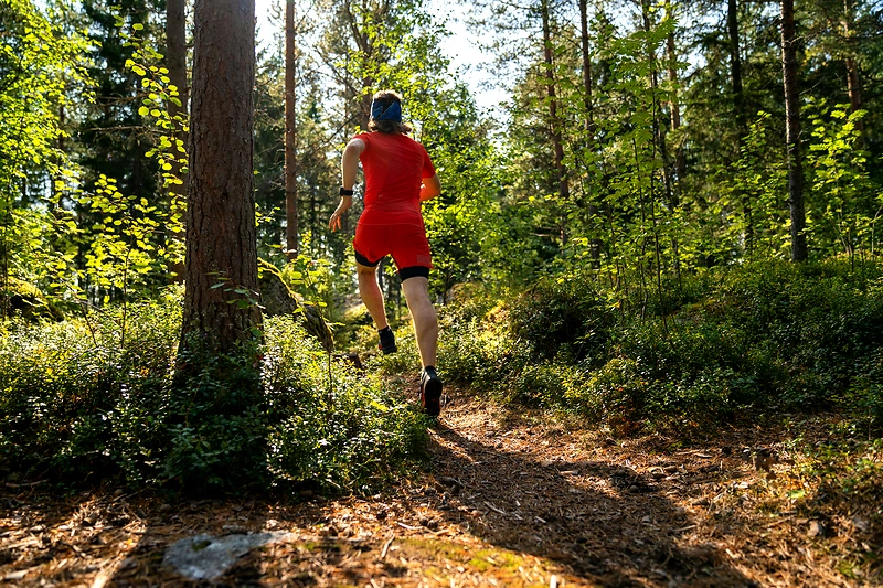 Bild zuBergisch Gladbacher Stadtlauf